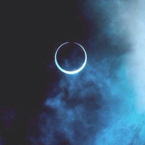 精品视频在线免费观看91
