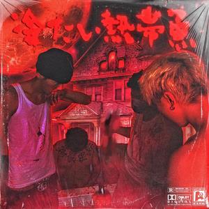 精品视频在线免费观看91
