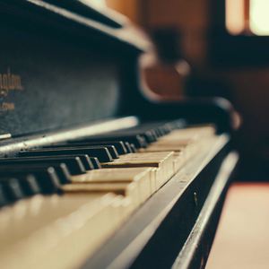 精品视频在线免费观看91
