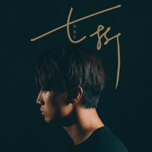 精品视频在线免费观看91
