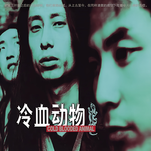 精品视频在线免费观看91
